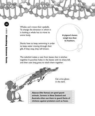 1001ShockingScienceFacts
60
Whales can’t move their eyeballs.
To change the direction in which it
is looking a whale has to move its
entire body.
Sharks have to keep swimming in order
to keep water moving through their
gills. If they stop, they will drown.
The tailorbird makes a nest from leaves that it stitches
together. It punches holes in the leaves with its sharp bill,
and then uses long grass to stitch them together.
Alpacas (like llamas) are good guard
animals. Farmers in New Zealand and
Australia often use them to guard flocks of
chickens against predators such as foxes.
Cat urine glows
in the dark.
A pigeon’s bones
weigh less than
its feathers.
1001 Science 047-074 Ch2.qxd 16/4/08 17:13 Page 60
 