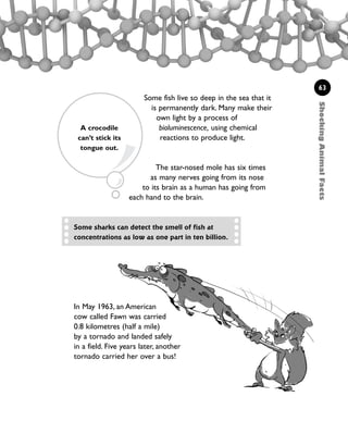 ShockingAnimalFacts
63
Some fish live so deep in the sea that it
is permanently dark. Many make their
own light by a process of
bioluminescence, using chemical
reactions to produce light.
The star-nosed mole has six times
as many nerves going from its nose
to its brain as a human has going from
each hand to the brain.
A crocodile
can’t stick its
tongue out.
Some sharks can detect the smell of fish at
concentrations as low as one part in ten billion.
In May 1963, an American
cow called Fawn was carried
0.8 kilometres (half a mile)
by a tornado and landed safely
in a field. Five years later, another
tornado carried her over a bus!
1001 Science 047-074 Ch2.qxd 16/4/08 17:13 Page 63
 