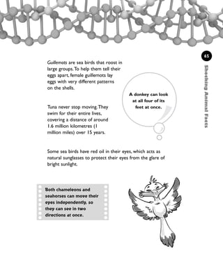 ShockingAnimalFacts
65
Guillemots are sea birds that roost in
large groups.To help them tell their
eggs apart, female guillemots lay
eggs with very different patterns
on the shells.
Tuna never stop moving.They
swim for their entire lives,
covering a distance of around
1.6 million kilometres (1
million miles) over 15 years.
Some sea birds have red oil in their eyes, which acts as
natural sunglasses to protect their eyes from the glare of
bright sunlight.
Both chameleons and
seahorses can move their
eyes independently, so
they can see in two
directions at once.
A donkey can look
at all four of its
feet at once.
1001 Science 047-074 Ch2.qxd 16/4/08 17:13 Page 65
 