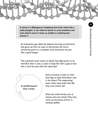 ShockingAnimalFacts
71
An Indonesian pig called the babirusa has long curved horns
that grow up from its nose. In old animals, the horns
sometimes grow in a complete circle and pierce the jaw.
Not a good design!
The matamata turtle moves so slowly that algae grow on its
shell. But when it eats, it sucks in large fish with a gulp so fast
that it can’t be seen with the naked eye!
A tenrec is a Madagascan hedgehog that looks rather like a
spiky penguin. It can rattle its spines to scare predators and
even detach some to leave as needles in anything that
attacks it.
Some tortoises urinate on their
back legs to keep themselves cool
in the desert.The evaporating
water takes away body heat. But
they must smell a bit!
Owls eat small animals such as
shrews and mice whole.They then
vomit up the bones and fur in
compact pellets.
A starfish doesn’t
have a brain.
1001 Science 047-074 Ch2.qxd 16/4/08 17:13 Page 71
 