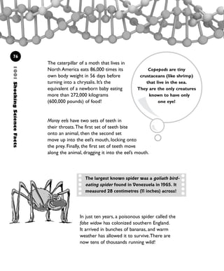 The caterpillar of a moth that lives in
North America eats 86,000 times its
own body weight in 56 days before
turning into a chrysalis. It’s the
equivalent of a newborn baby eating
more than 272,000 kilograms
(600,000 pounds) of food!
Moray eels have two sets of teeth in
their throats.The first set of teeth bite
onto an animal, then the second set
move up into the eel’s mouth, locking onto
the prey. Finally, the first set of teeth move
along the animal, dragging it into the eel’s mouth.
Copepods are tiny
crustaceans (like shrimp)
that live in the sea.
They are the only creatures
known to have only
one eye!
1001ShockingScienceFacts
76
In just ten years, a poisonous spider called the
false widow has colonized southern England.
It arrived in bunches of bananas, and warm
weather has allowed it to survive.There are
now tens of thousands running wild!
The largest known spider was a goliath bird-
eating spider found in Venezuela in 1965. It
measured 28 centimetres (11 inches) across!
1001 Science 075-094 Ch3.qxd 16/4/08 17:23 Page 76
 