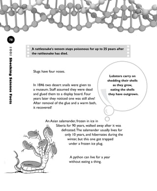 Slugs have four noses.
In 1846 two desert snails were given to
a museum. Staff assumed they were dead
and glued them to a display board. Four
years later they noticed one was still alive!
After removal of the glue and a warm bath,
it recovered!
An Asian salamander, frozen in ice in
Siberia for 90 years, walked away after it was
defrosted.The salamander usually lives for
only 10 years, and hibernates during the
winter, but this one got trapped
under a frozen ice plug.
A python can live for a year
without eating a thing.
1001ShockingScienceFacts
78
A rattlesnake’s venom stays poisonous for up to 25 years after
the rattlesnake has died.
Lobsters carry on
shedding their shells
as they grow,
eating the shells
they have outgrown.
1001 Science 075-094 Ch3.qxd 16/4/08 17:23 Page 78
 