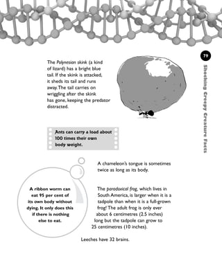 A chameleon’s tongue is sometimes
twice as long as its body.
The paradoxical frog, which lives in
South America, is larger when it is a
tadpole than when it is a full-grown
frog! The adult frog is only ever
about 6 centimetres (2.5 inches)
long but the tadpole can grow to
25 centimetres (10 inches).
79
ShockingCreepyCreatureFacts
The Polynesian skink (a kind
of lizard) has a bright blue
tail. If the skink is attacked,
it sheds its tail and runs
away.The tail carries on
wriggling after the skink
has gone, keeping the predator
distracted.
Leeches have 32 brains.
Ants can carry a load about
100 times their own
body weight.
A ribbon worm can
eat 95 per cent of
its own body without
dying. It only does this
if there is nothing
else to eat.
1001 Science 075-094 Ch3.qxd 16/4/08 17:23 Page 79
 