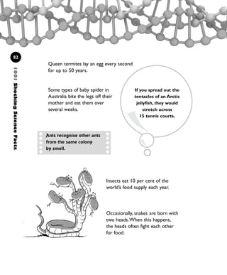 Queen termites lay an egg every second
for up to 50 years.
Some types of baby spider in
Australia bite the legs off their
mother and eat them over
several weeks.
1001ShockingScienceFacts
82
Insects eat 10 per cent of the
world’s food supply each year.
Occasionally, snakes are born with
two heads.When this happens,
the heads often fight each other
for food.
If you spread out the
tentacles of an Arctic
jellyfish, they would
stretch across
15 tennis courts.
Ants recognise other ants
from the same colony
by smell.
1001 Science 075-094 Ch3.qxd 16/4/08 17:24 Page 82
 