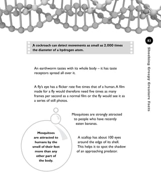 An earthworm tastes with its whole body – it has taste
receptors spread all over it.
A fly’s eye has a flicker rate five times that of a human.A film
made for a fly would therefore need five times as many
frames per second as a normal film or the fly would see it as
a series of still photos.
Mosquitoes are strongly attracted
to people who have recently
eaten bananas.
A scallop has about 100 eyes
around the edge of its shell.
This helps it to spot the shadow
of an approaching predator.
ShockingCreepyCreatureFacts
83
A cockroach can detect movements as small as 2,000 times
the diameter of a hydrogen atom.
Mosquitoes
are attracted to
humans by the
smell of their feet
more than any
other part of
the body.
1001 Science 075-094 Ch3.qxd 16/4/08 17:24 Page 83
 