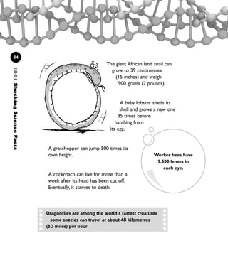 The giant African land snail can
grow to 39 centimetres
(15 inches) and weigh
900 grams (2 pounds).
A baby lobster sheds its
shell and grows a new one
35 times before
hatching from
its egg.
A grasshopper can jump 500 times its
own height.
A cockroach can live for more than a
week after its head has been cut off.
Eventually, it starves to death.
1001ShockingScienceFacts
84
Worker bees have
5,500 lenses in
each eye.
Dragonflies are among the world’s fastest creatures
– some species can travel at about 48 kilometres
(30 miles) per hour.
1001 Science 075-094 Ch3.qxd 16/4/08 17:24 Page 84
 