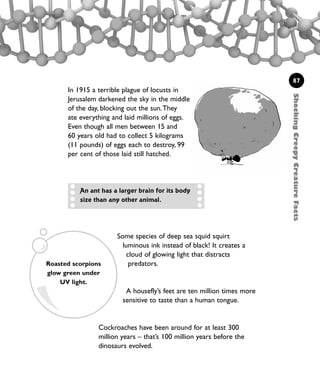 Some species of deep sea squid squirt
luminous ink instead of black! It creates a
cloud of glowing light that distracts
predators.
A housefly’s feet are ten million times more
sensitive to taste than a human tongue.
Cockroaches have been around for at least 300
million years – that’s 100 million years before the
dinosaurs evolved.
87
In 1915 a terrible plague of locusts in
Jerusalem darkened the sky in the middle
of the day, blocking out the sun.They
ate everything and laid millions of eggs.
Even though all men between 15 and
60 years old had to collect 5 kilograms
(11 pounds) of eggs each to destroy, 99
per cent of those laid still hatched.
An ant has a larger brain for its body
size than any other animal.
ShockingCreepyCreatureFacts
Roasted scorpions
glow green under
UV light.
1001 Science 075-094 Ch3.qxd 16/4/08 17:24 Page 87
 