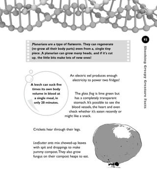 An electric eel produces enough
electricity to power two fridges!
The glass frog is lime green but
has a completely transparent
stomach. It’s possible to see the
blood vessels, the heart and even
check whether it’s eaten recently or
might like a snack.
93
Planarians are a type of flatworm. They can regenerate
(re-grow all their body parts) even from a, single tiny
piece. A planarian can grow many heads, and if it’s cut
up, the little bits make lots of new ones!
ShockingCreepyCreatureFacts
A leech can suck five
times its own body
volume in blood at
a single meal, in
only 20 minutes.
Crickets hear through their legs.
Leafcutter ants mix chewed-up leaves
with spit and droppings to make
yummy compost.They also grow
fungus on their compost heaps to eat.
1001 Science 075-094 Ch3.qxd 16/4/08 17:24 Page 93
 