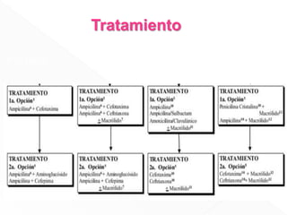annery (1).pptx