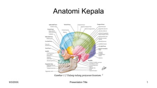 Anatomi Kepala
9/3/20XX Presentation Title 1
 