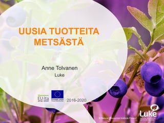 UUSIA TUOTTEITA
METSÄSTÄ
Anne Tolvanen
Luke
© Natural Resources Institute Finland
2016-2020
 