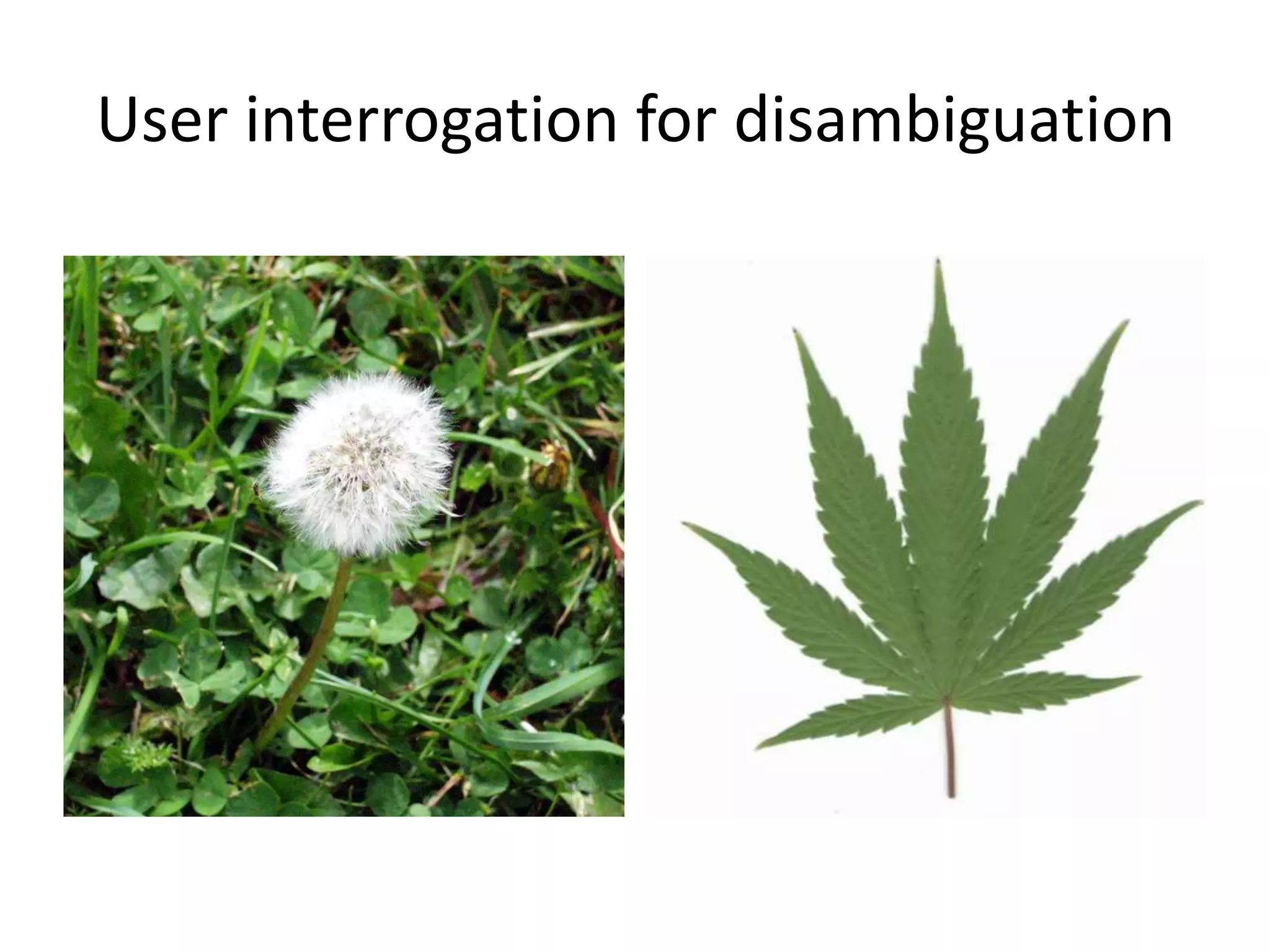 User interrogation for disambiguation