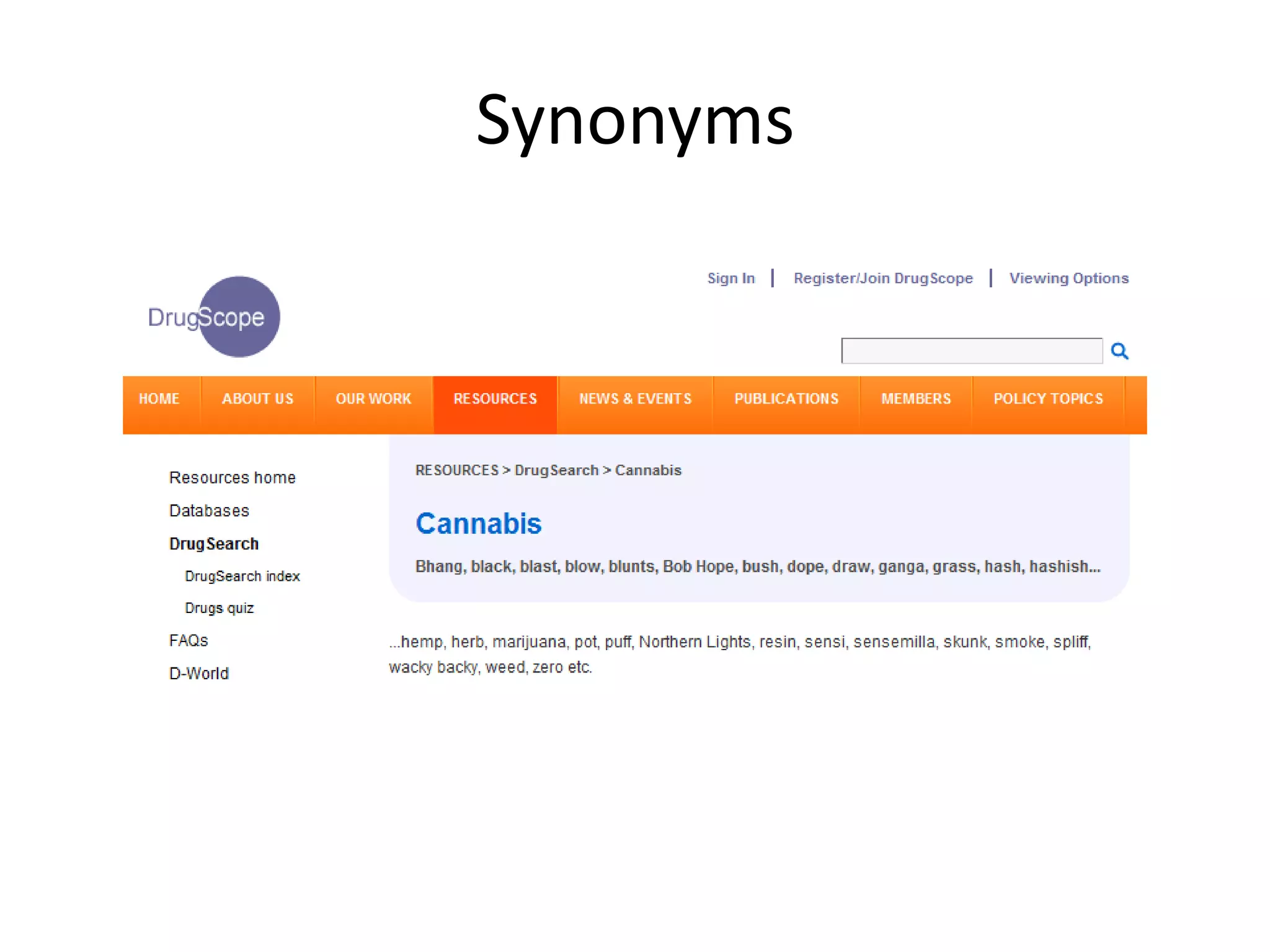Synonyms