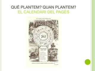 QUÈ PLANTEM? QUAN PLANTEM?
EL CALENDARI DEL PAGÈS
 