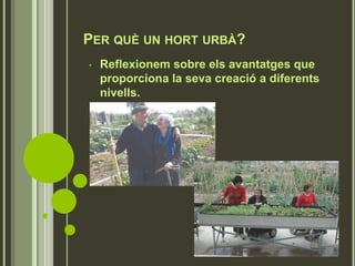 PER QUÈ UN HORT URBÀ?
• Reflexionem sobre els avantatges que
proporciona la seva creació a diferents
nivells.
 