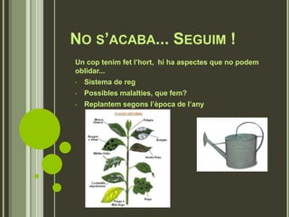 NO S’ACABA... SEGUIM !
Un cop tenim fet l’hort, hi ha aspectes que no podem
oblidar...
• Sistema de reg
• Possibles malalties, que fem?
• Replantem segons l’època de l’any
 