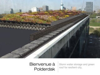Bienvenue à
Polderdak

Storm water storage and green
roof for resilient city.

 