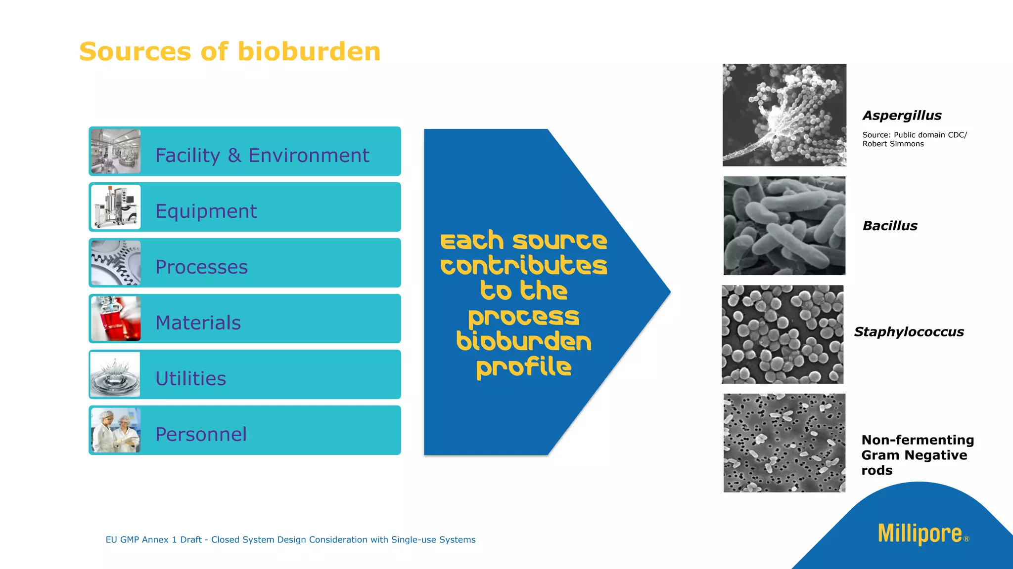 Facility & Environment
Equipment
Processes
Materials
Utilities
Personnel
Each source
contributes
to the
process
bioburden
profile
Sources of bioburden
Staphylococcus
Bacillus
Non-fermenting
Gram Negative
rods
Aspergillus
Source: Public domain CDC/
Robert Simmons
EU GMP Annex 1 Draft - Closed System Design Consideration with Single-use Systems
 