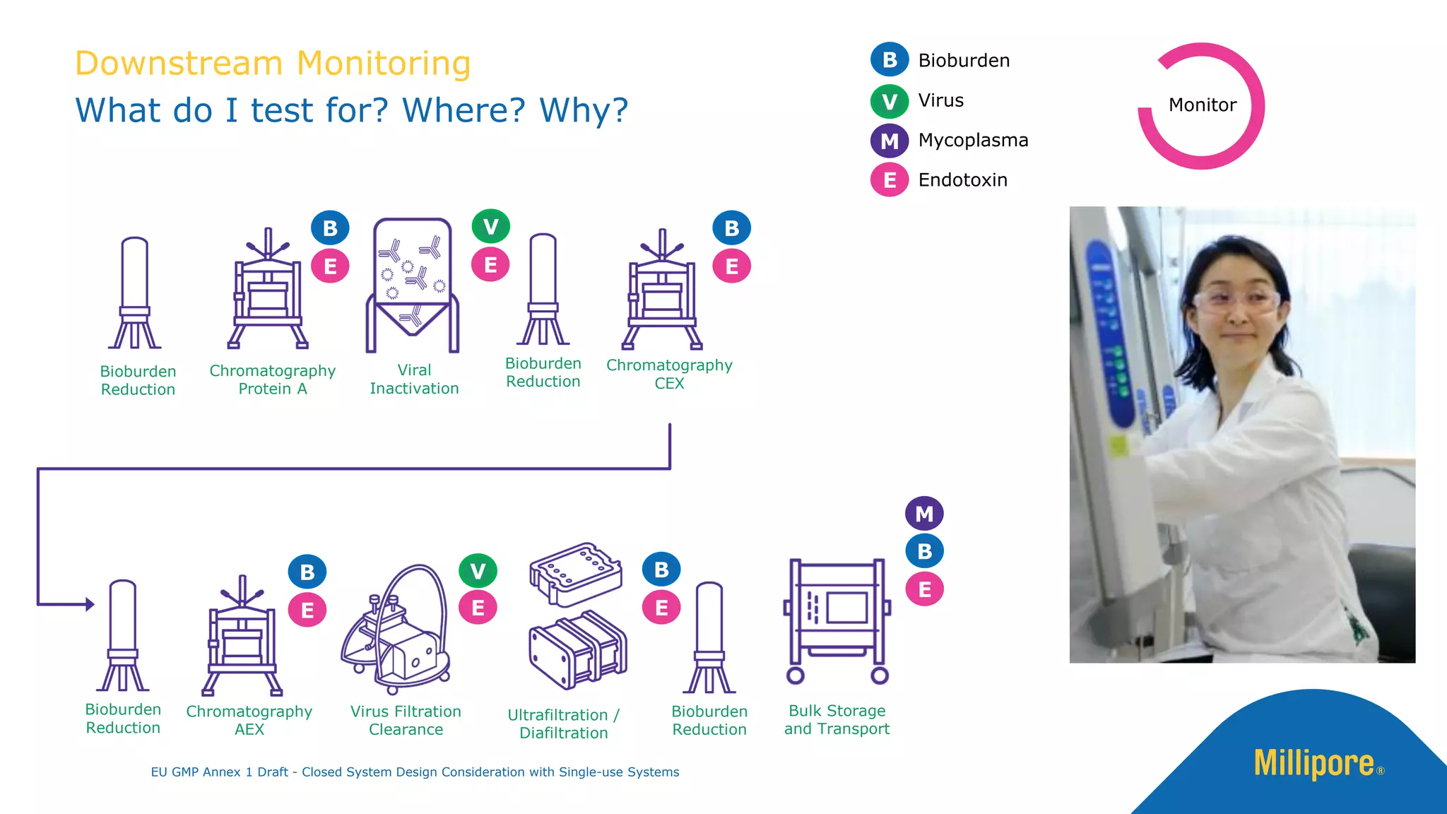 Downstream Monitoring
What do I test for? Where? Why?
Chromatography
Protein A
Bulk Storage
and Transport
Viral
Inactivation
Chromatography
CEX
Virus Filtration
Clearance
Ultrafiltration /
Diafiltration
Bioburden
Reduction
Bioburden
Reduction
Chromatography
AEX
Bioburden
Reduction
Bioburden
Reduction
Bioburden
Virus
Mycoplasma
Endotoxin
V
M
B
E
B
E
B
E
B
E
V
E
V
E
B
E
B
E
M
Monitor
EU GMP Annex 1 Draft - Closed System Design Consideration with Single-use Systems
 