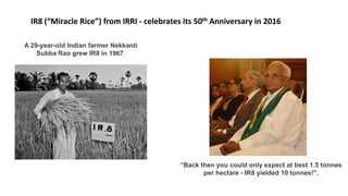 “Back then you could only expect at best 1.5 tonnes
per hectare - IR8 yielded 10 tonnes!".
A 29-year-old Indian farmer Nekkanti
Subba Rao grew IR8 in 1967.
IR8 (“Miracle Rice”) from IRRI - celebrates its 50th Anniversary in 2016
 