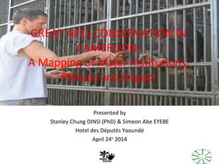Presented by
Stanley Chung DINSI (PhD) & Simeon Abe EYEBE
Hotel des Députés Yaoundé
April 24th
2014
GREAT APES CONSERVATION IN
CAMEROON:
A Mapping of Major Institutions,
Policies and impact
 