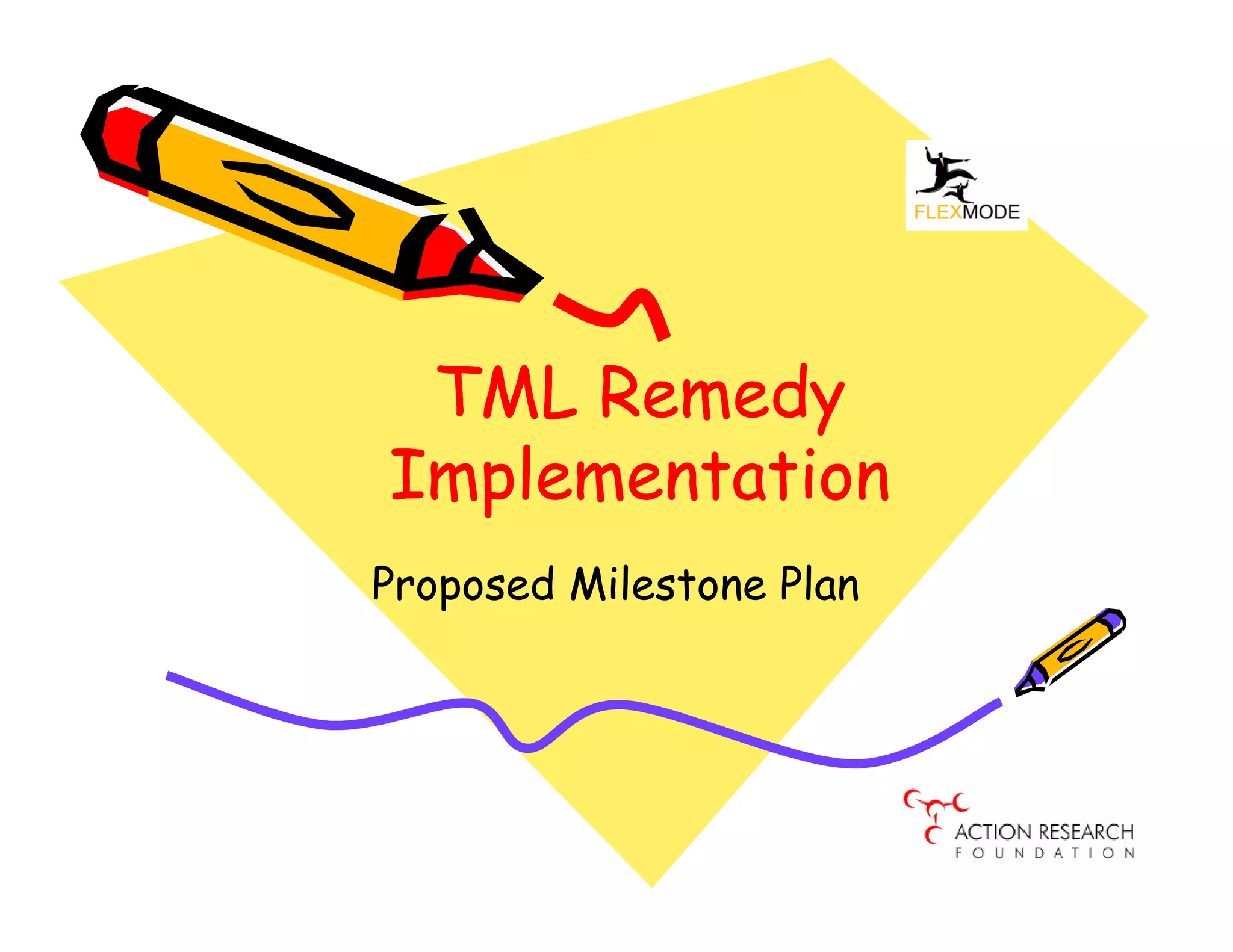 TML Remedy
Implementation
Proposed Milestone Plan
 