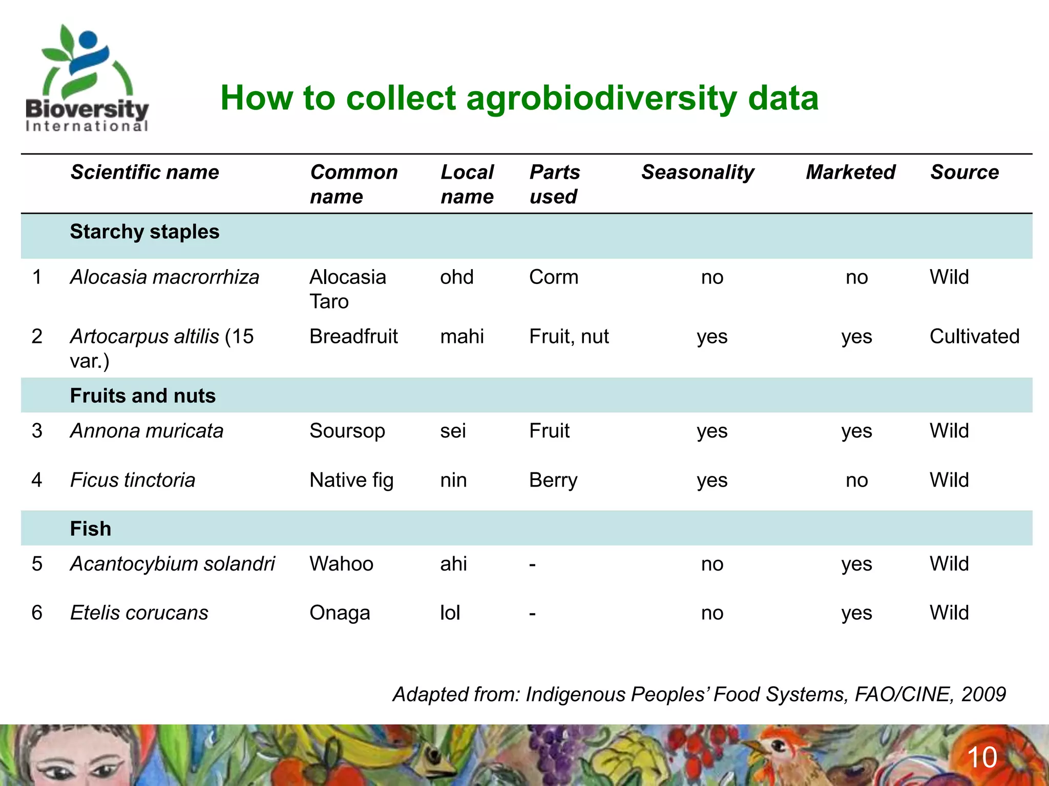 How to collect agrobiodiversity data
    Scientific name          Common         Local    Parts        Seasonality    Marketed     Source
                             name           name     used
    Starchy staples

1   Alocasia macrorrhiza     Alocasia       ohd      Corm              no            no       Wild
                             Taro
2   Artocarpus altilis (15   Breadfruit     mahi     Fruit, nut        yes           yes      Cultivated
    var.)
    Fruits and nuts
3   Annona muricata          Soursop        sei      Fruit             yes           yes      Wild

4   Ficus tinctoria          Native fig     nin      Berry             yes           no       Wild

    Fish
5   Acantocybium solandri    Wahoo          ahi      -                 no            yes      Wild

6   Etelis corucans          Onaga          lol      -                 no            yes      Wild


                                        Adapted from: Indigenous Peoples’ Food Systems, FAO/CINE, 2009


                                                                                                 10
 