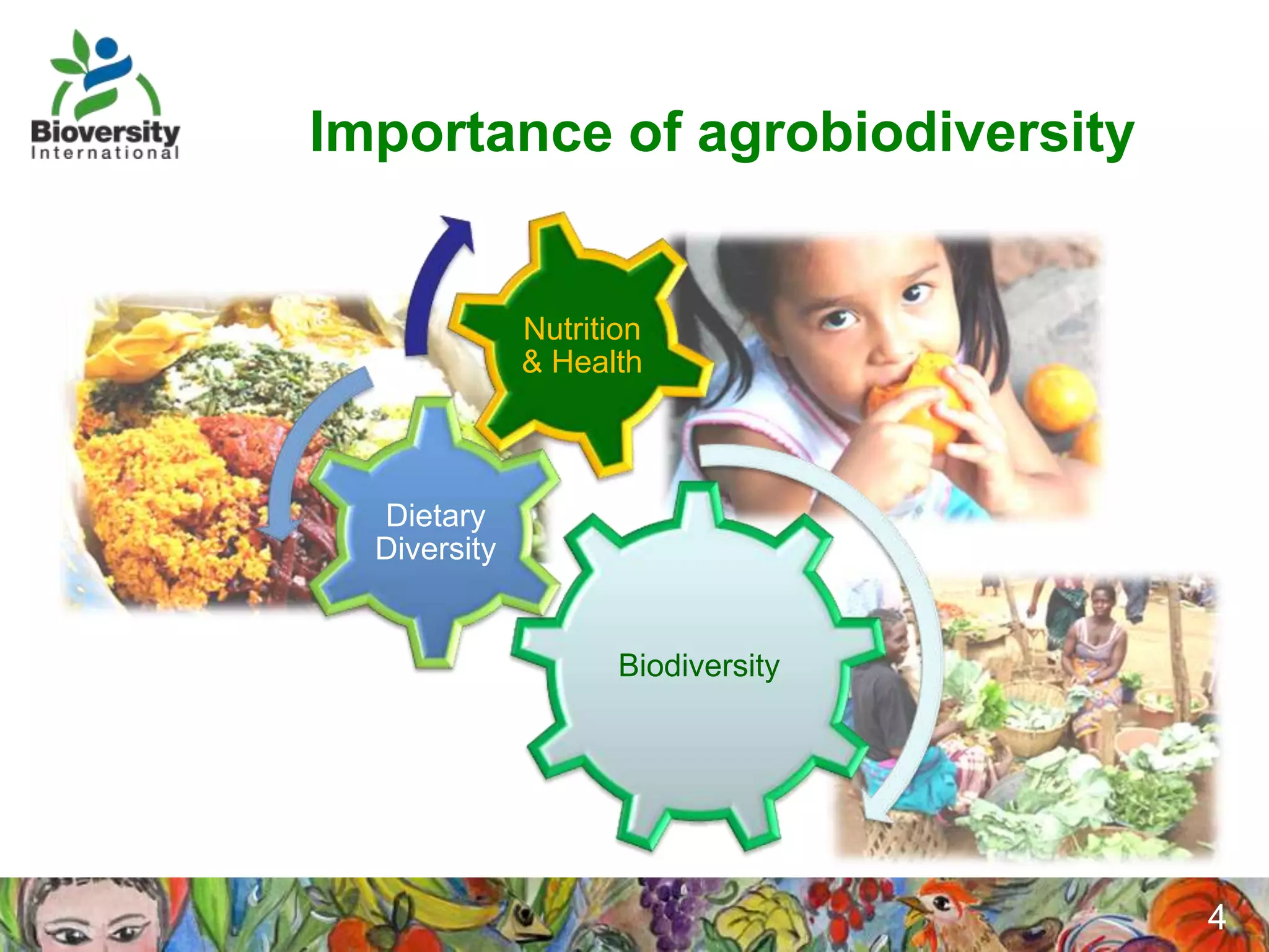 Importance of agrobiodiversity


              Nutrition
              & Health



  Dietary
  Diversity


                     Biodiversity




                                    4
 