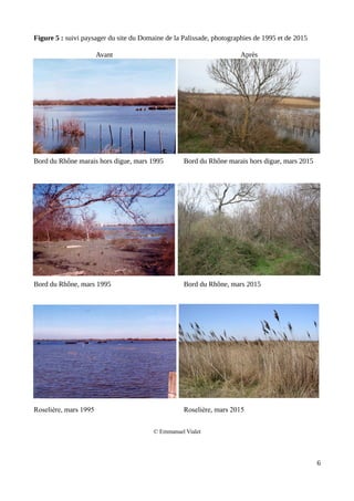 Figure 5 : suivi paysager du site du Domaine de la Palissade, photographies de 1995 et de 2015
Bord du Rhône marais hors digue, mars 1995 Bord du Rhône marais hors digue, mars 2015
Bord du Rhône, mars 1995 Bord du Rhône, mars 2015
Roselière, mars 1995 Roselière, mars 2015
© Emmanuel Vialet
6
Avant Après
 