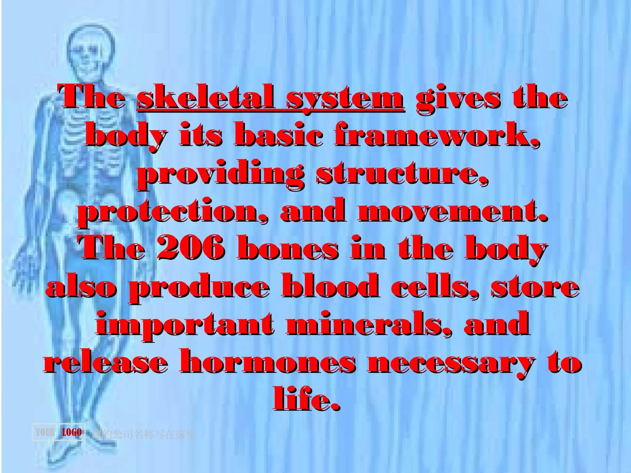 TheThe skeletal systemskeletal system gives thegives the
body its basic framework,body its basic framework,
providing structure,providing structure,
protection, and movement.protection, and movement.
The 206 bones in the bodyThe 206 bones in the body
also produce blood cells, storealso produce blood cells, store
important minerals, andimportant minerals, and
release hormones necessary torelease hormones necessary to
life.life.
的公司名称写在 里您 这YOUR LOGO