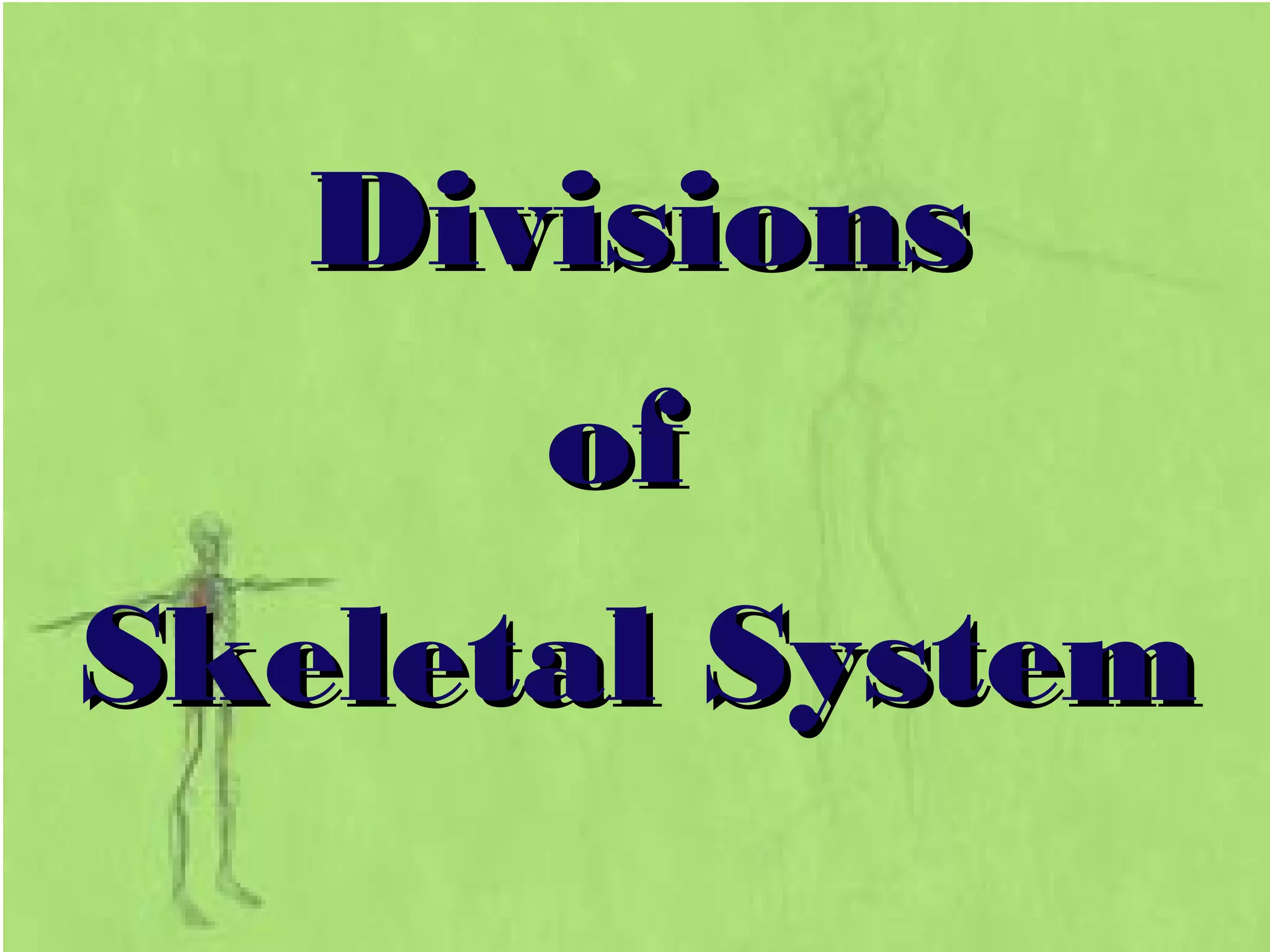 DivisionsDivisions
ofof
Skeletal SystemSkeletal System