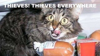 THIEVES! THIEVES EVERYWHERE
 