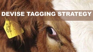 DEVISE TAGGING STRATEGY
 
