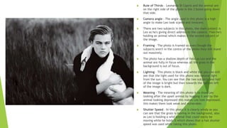  Rule of Thirds – Leonardo Di Caprio and the animal are
on the right side of the photo in the 3 boxes going down
that side.
 Camera angle – The angle used in this photo is a high
angle to make Leo look scared and innocent.
 There are two subjects in this photo, the main subject is
Leo as he's giving direct address to the camera. Then he's
holding an animal which makes it the second subject of
the image.
 Framing – The photo is framed so even though the
subjects aren't in the centre of the photo they still stand
out massively.
 The photo has a shallow depth of field as Leo and the
animal are fully in focus whereas all the grass in the
background is out of focus.
 Lighting – This photo is black and white but you can still
see that the light used for this photo was natural light
from the sun. You can see that the two subjects and half
of the image is bright but then towards the bottom left
of the image is dark.
 Meaning – The meaning of this photo is to show Leo
looking after the upset animal by hugging it and by the
animal looking depressed this makes Leo look depressed,
this makes them look weak and vulnerable.
 Shutter Speed – In this photo it is clearly windy as you
can see that the grass is moving in the background, also
as Leo is holding a wild animal that could easily be
moving while he holds it which shows that a fast shutter
speed was used while taking this photo.
 