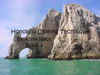 Honolulu Cloning Technique
 By: Annie Reich
     Block: 4
 