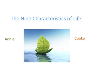 The Nine Characteristics of Life  Cooke Annie 