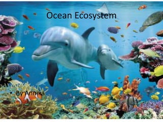 • By Annika
Ocean Ecosystem
 