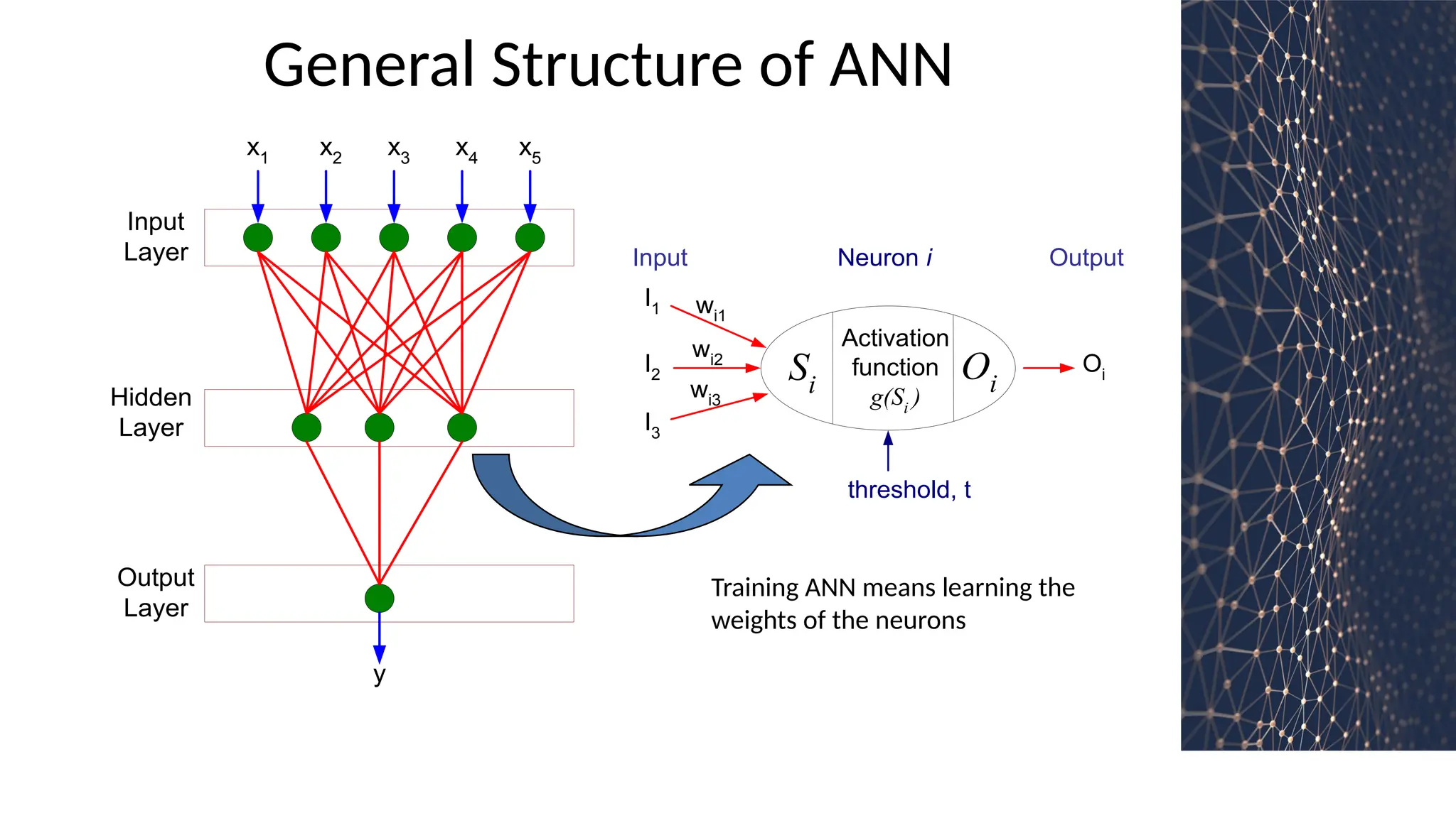 General Structure of ANN
Activation
function
g(Si
)
Si
Oi
I1
I2
I3
wi1
wi2
wi3
Oi
Neuron i
Input Output
threshold, t
Input
Layer
Hidden
Layer
Output
Layer
x1
x2
x3
x4
x5
y
Training ANN means learning the
weights of the neurons
 