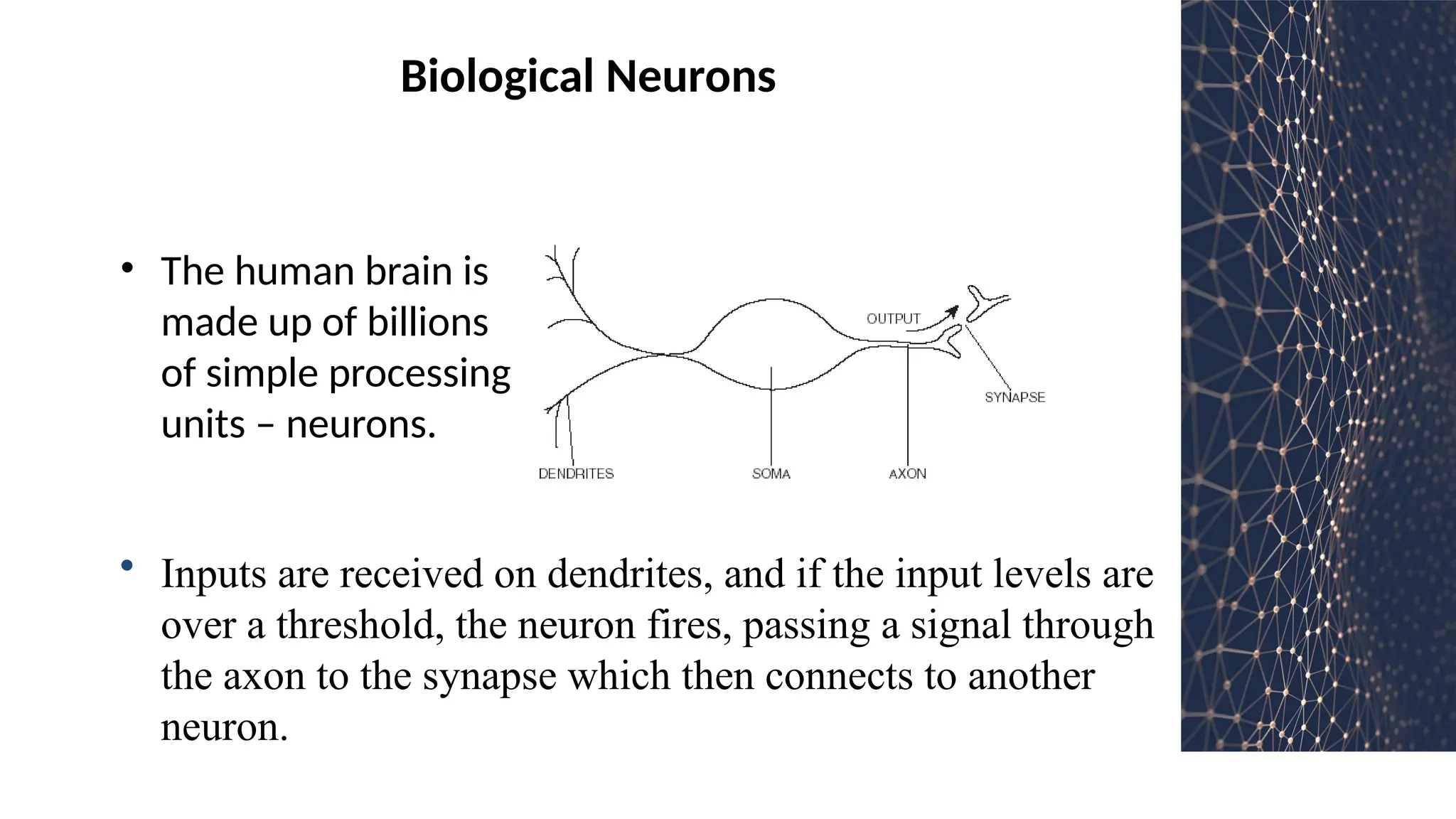 Biological Neurons
• The human brain is
made up of billions
of simple processing
units – neurons.
• Inputs are received on dendrites, and if the input levels are
over a threshold, the neuron fires, passing a signal through
the axon to the synapse which then connects to another
neuron.
 