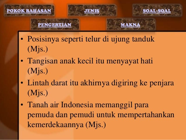 Annisa ulfah dan rusida sari xii ips 2