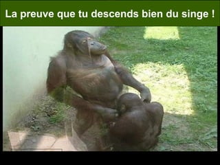 La preuve que tu descends bien du singe ! 