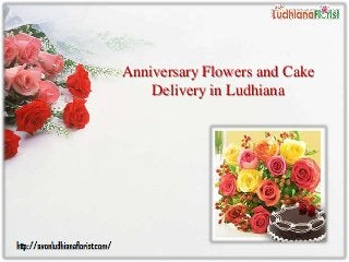 Anniversary Flowers and Cake
Delivery in Ludhiana
 