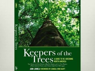 Ann Linnea - Keepers of the Trees