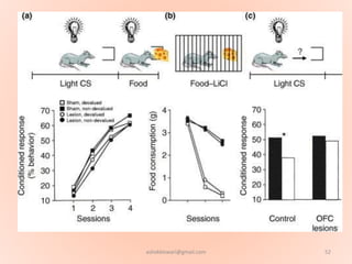 52ashokktiwari@gmail.com
 
