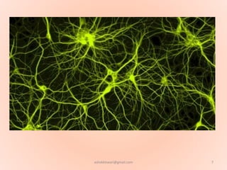 7ashokktiwari@gmail.com
 