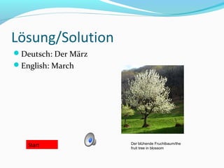 Lösung/Solution
Deutsch: Der März
English: March
Start Der blühende Fruchtbaum/the
fruit tree in blossom
 