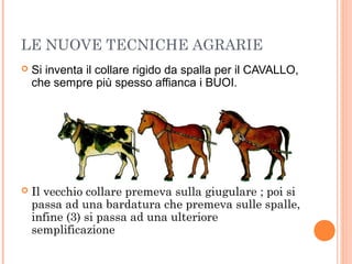 LE NUOVE TECNICHE AGRARIE
 Si inventa il collare rigido da spalla per il CAVALLO,
che sempre più spesso affianca i BUOI.
 Il vecchio collare premeva sulla giugulare ; poi si
passa ad una bardatura che premeva sulle spalle,
infine (3) si passa ad una ulteriore
semplificazione
 