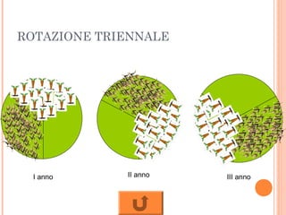 ROTAZIONE TRIENNALE
I anno II anno III anno
 