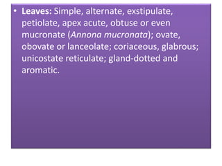 • Leaves: Simple, alternate, exstipulate,
petiolate, apex acute, obtuse or even
mucronate (Annona mucronata); ovate,
obovate or lanceolate; coriaceous, glabrous;
unicostate reticulate; gland-dotted and
aromatic.
 