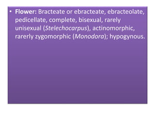 • Flower: Bracteate or ebracteate, ebracteolate,
pedicellate, complete, bisexual, rarely
unisexual (Stelechocarpus), actinomorphic,
rarerly zygomorphic (Monodora); hypogynous.
 